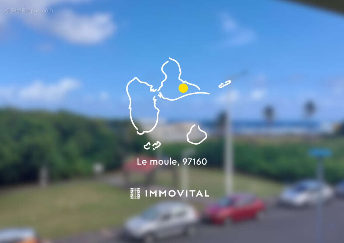 Commerce à LE MOULE