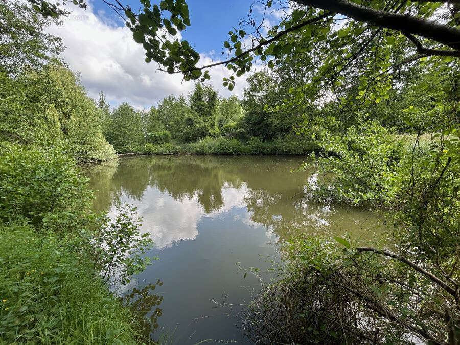Terrain à SAINT-AMAND-LES-EAUX