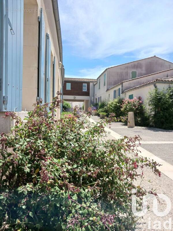 Photo 1 - Appartement à SAINT-MARTIN-DE-RE