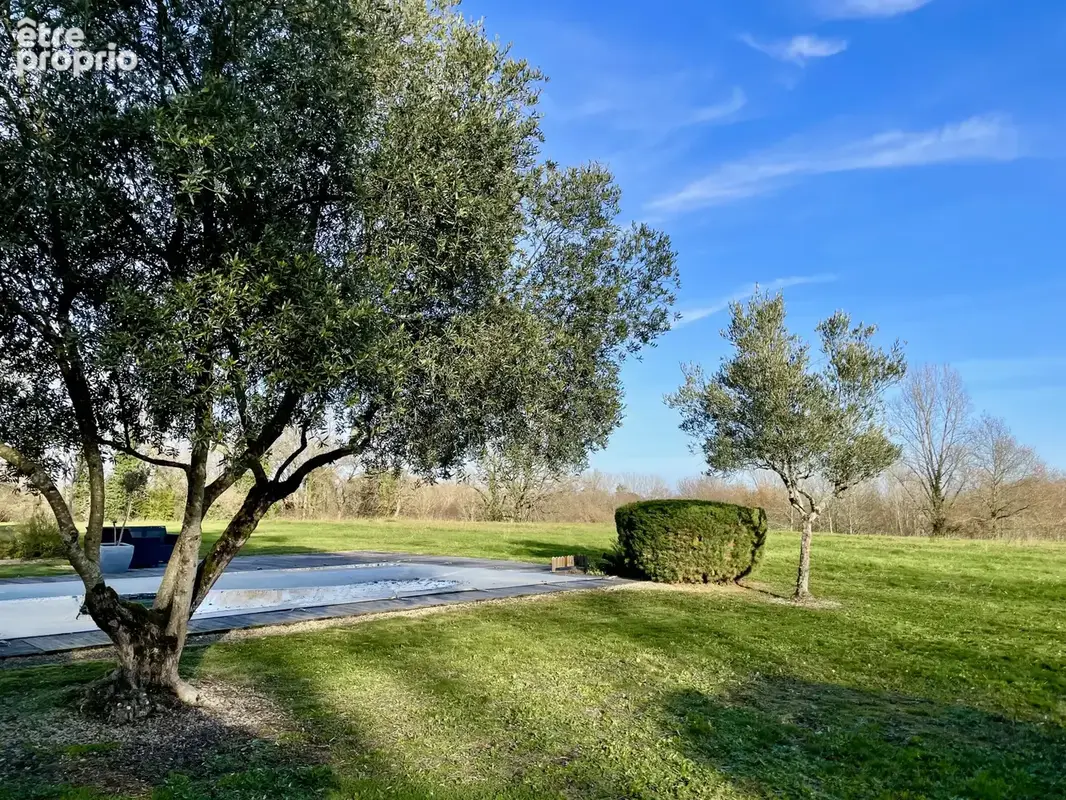 Superbe ferme type landaise 278m2, 6 chambres, piscine - photo 21