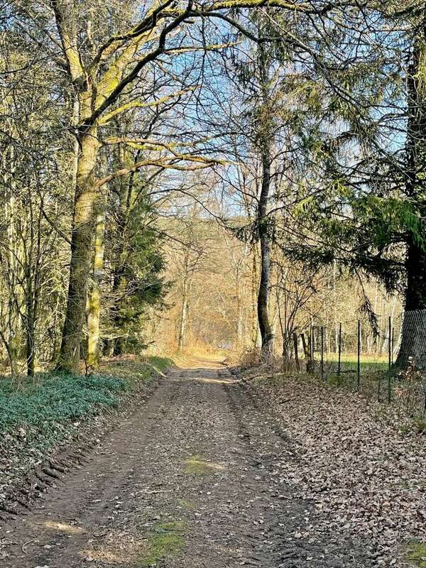 Terrain à GOULOUX