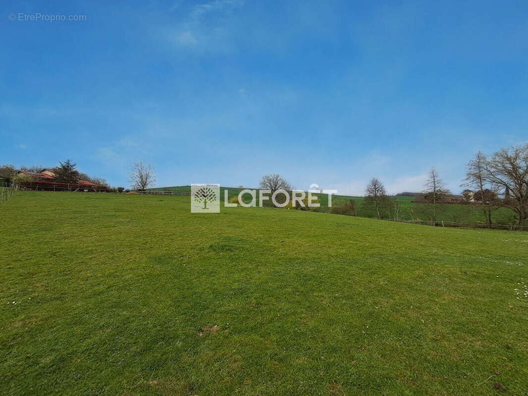 Terrain à BESSIERES