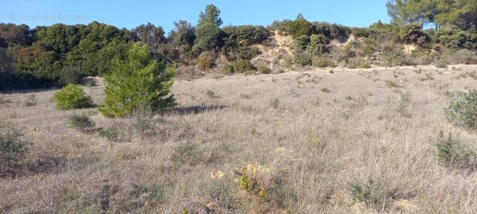Terrain à PORTEL-DES-CORBIERES