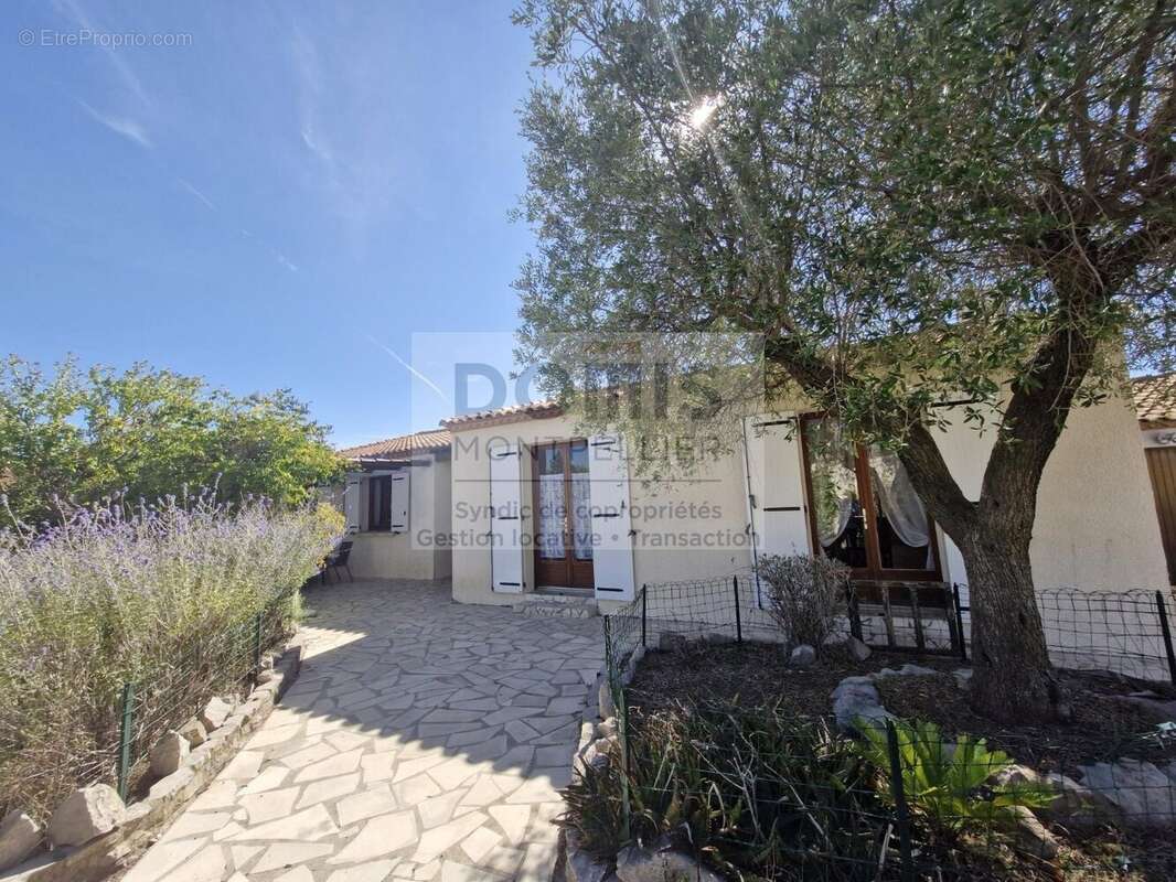 Maison à COURNONTERRAL