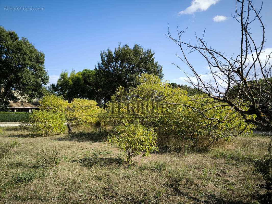 Terrain à UZES