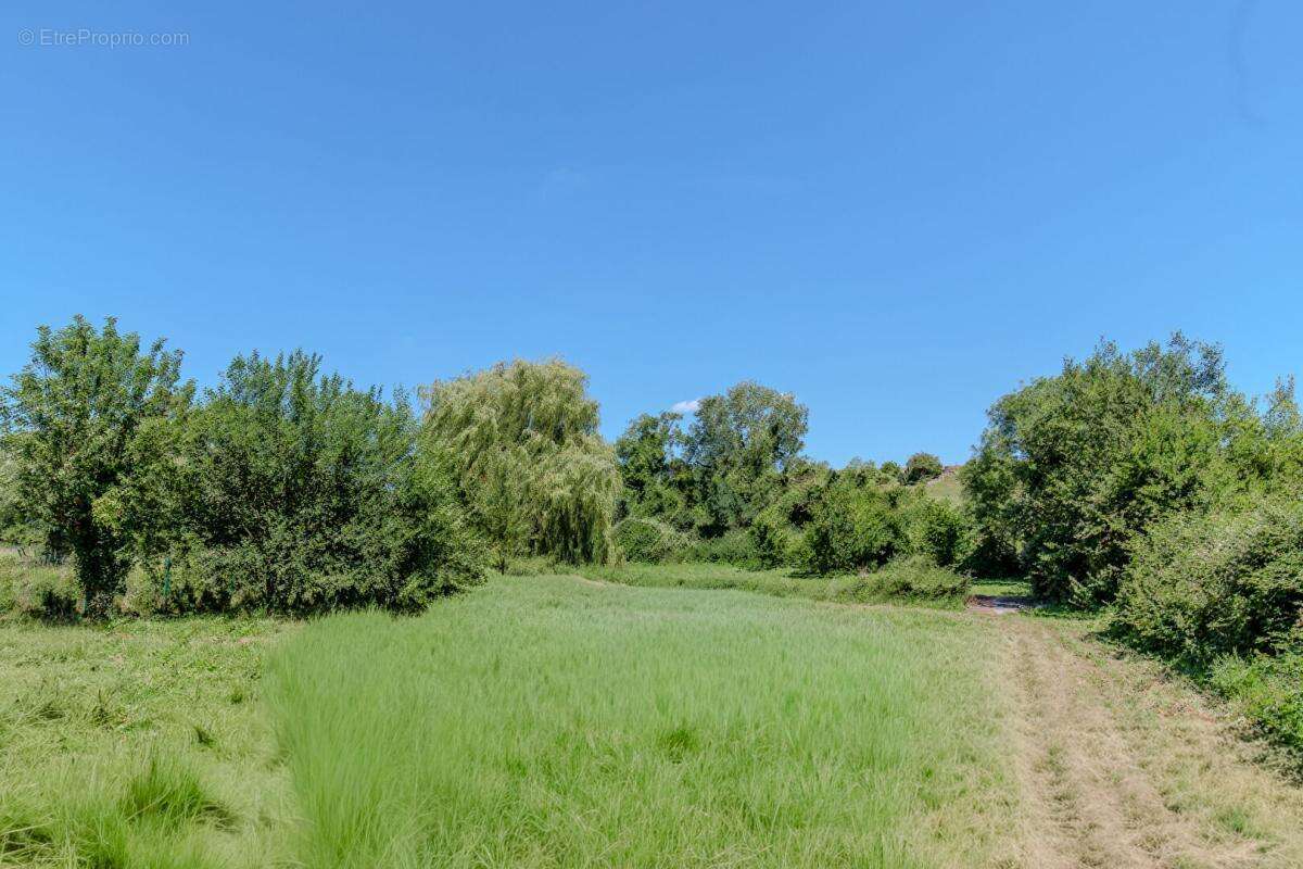 Longuesse - Maison familiale de charme sur 3 700 m² de terrain - photo 16