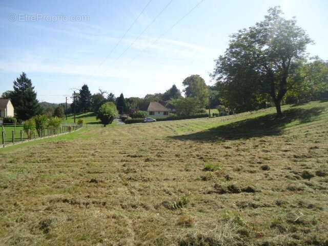 Terrain à SAINT-SORNIN-LAVOLPS