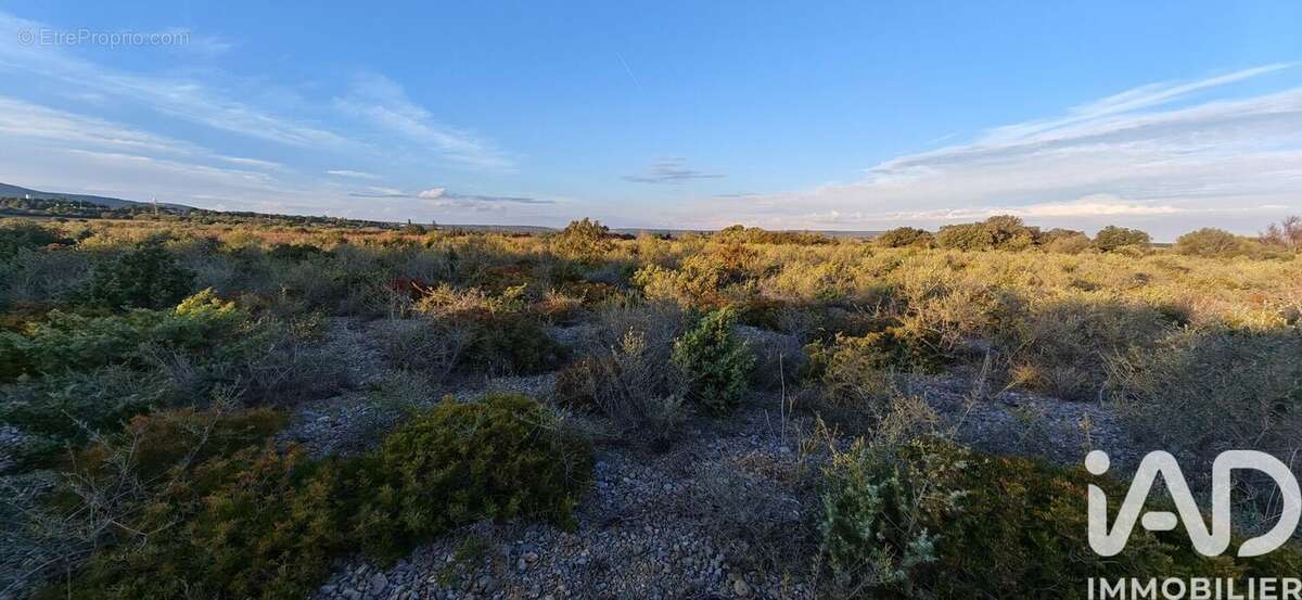 Photo 2 - Terrain à LA PALME