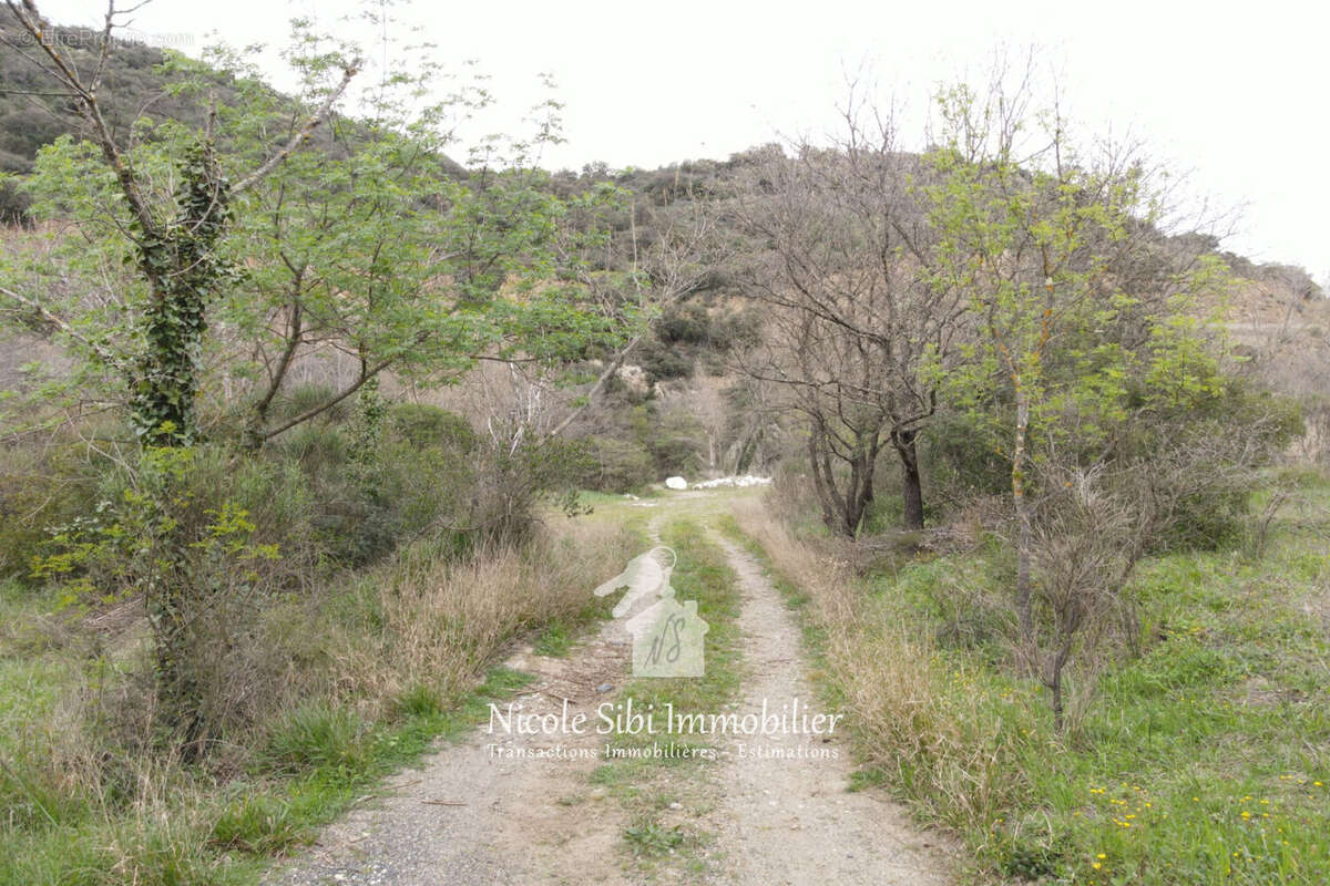 Terrain à RASIGUERES