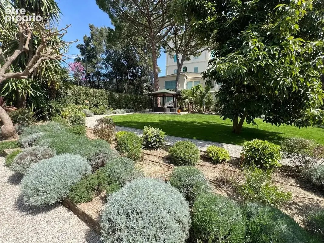 Cannes - basse californie -jardin - photo 2