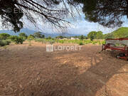 Terrain à LAROQUE-DES-ALBERES