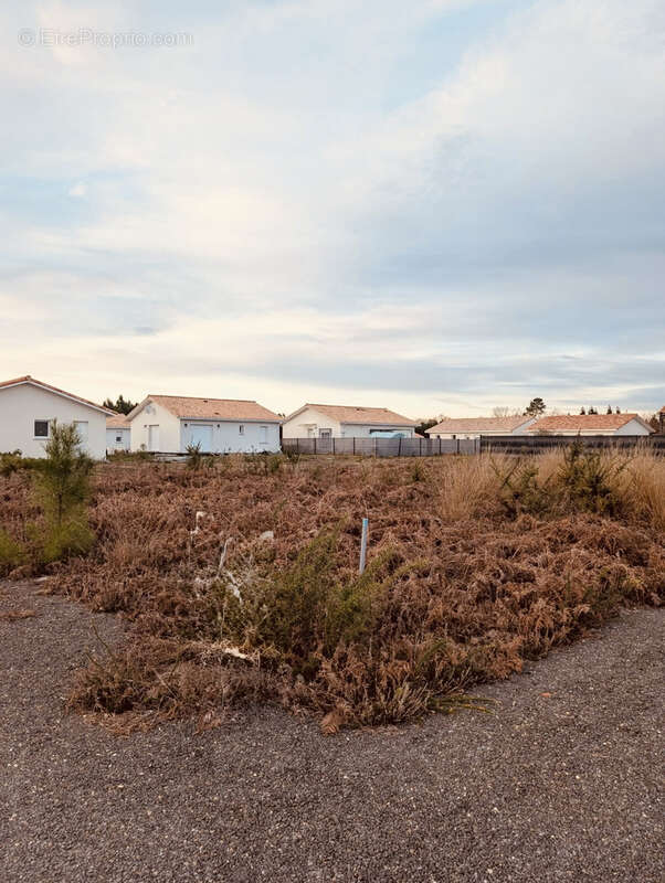 Terrain à SAINT-PAUL-EN-BORN