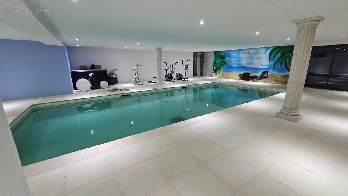 A 40 minutes de Lyon 8, belle villa de 450m2 avec piscine intérieure sur 3 224 m2 de terrain clos - photo 2