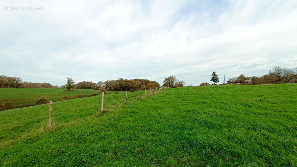 Maison à LA COQUILLE