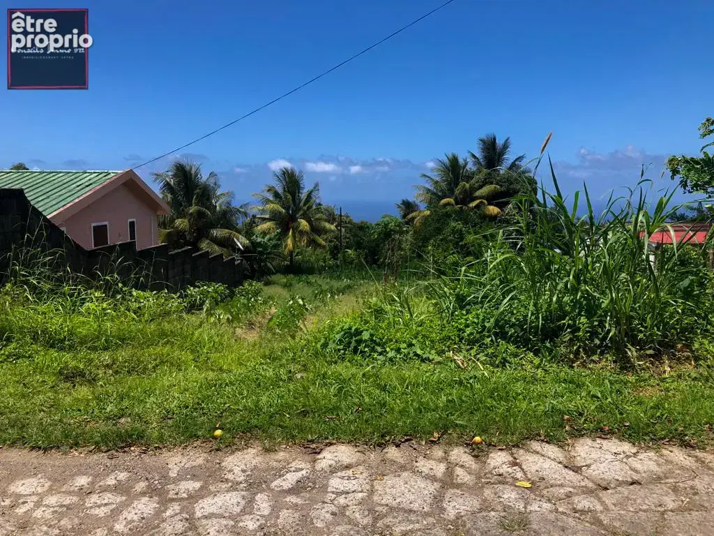 Terrain à bâtir de 1 316 m2 à vendre à Basse-Pointe - photo 3