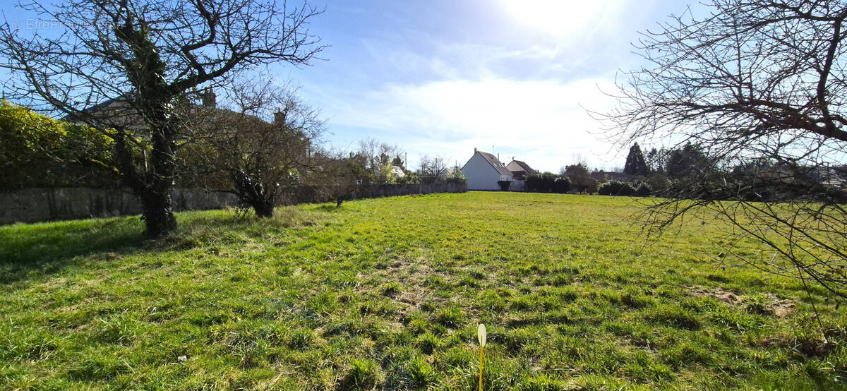 Terrain à LAILLY-EN-VAL