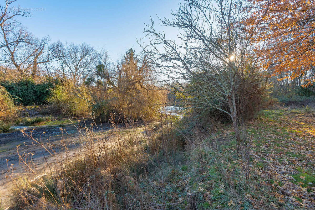Proche commerces - maison 5 chambres - 250 m2 - sur 7.55 ha - photo 18