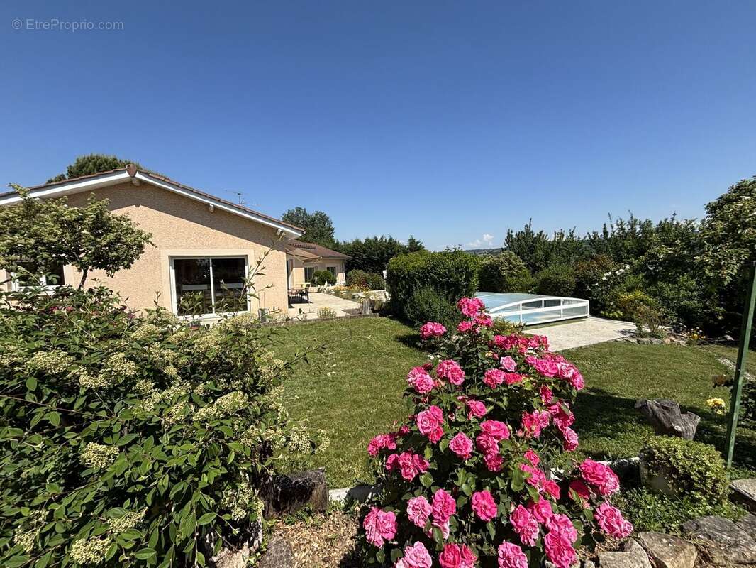 Maison 155 m² à Hauterives  - photo 8