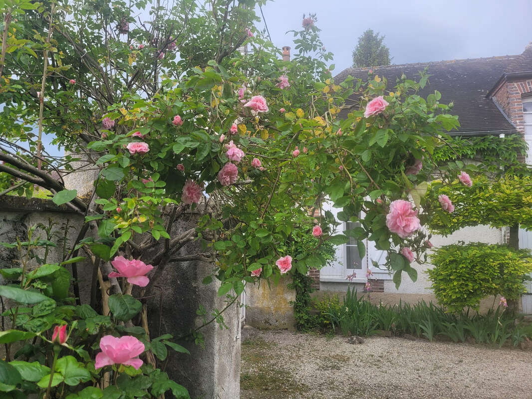 Maison à MAIZIERES-LA-GRANDE-PAROISSE