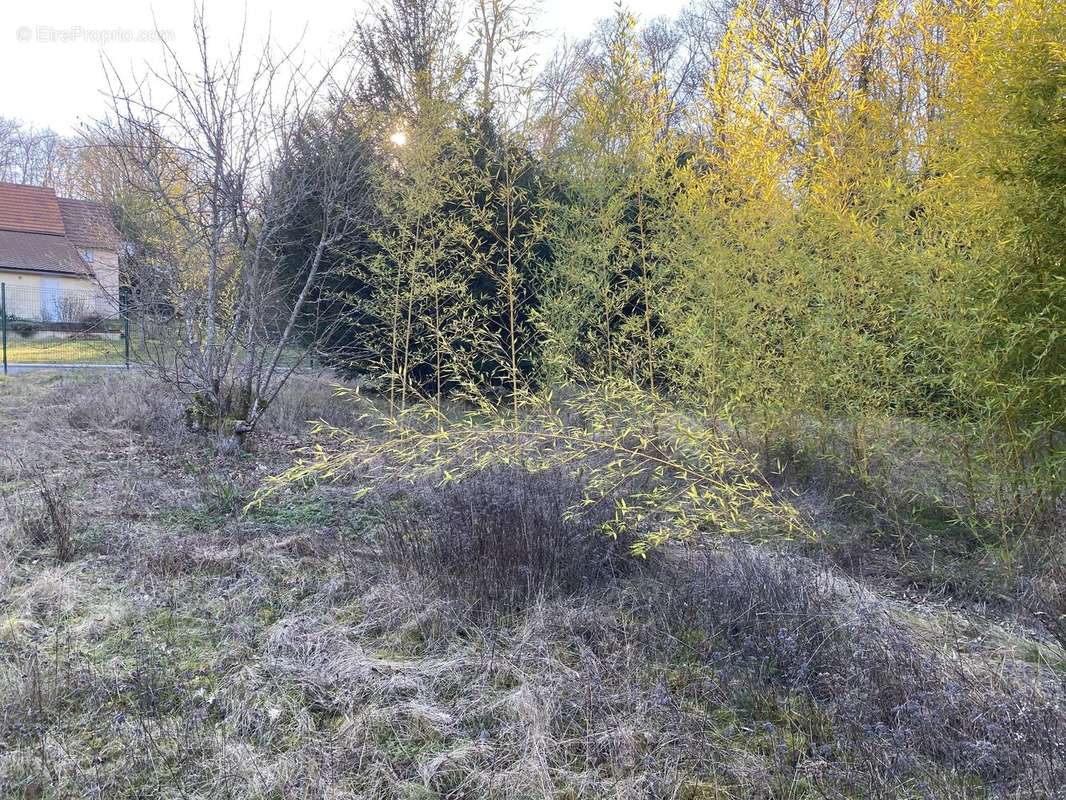 Photo 2 - Terrain à DREUX