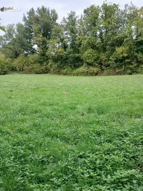 Grand terrain constructible de 4 900 m² à deux pas du centre de Ribérac - photo 8