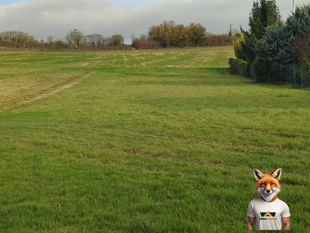 Terrain à FONTAINE-MACON