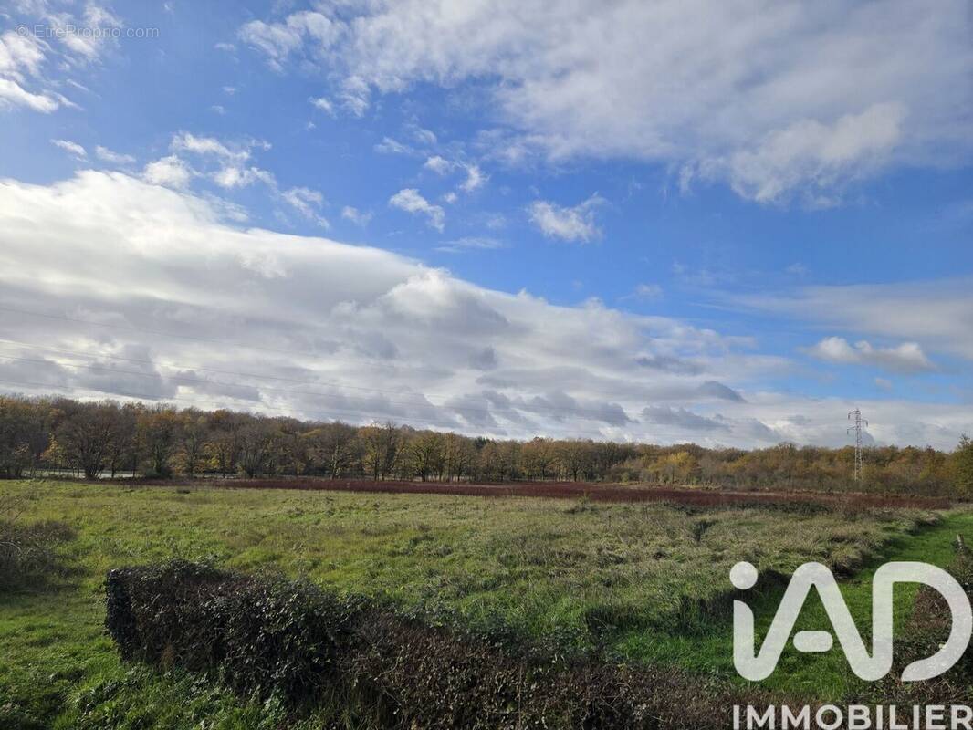 Photo 1 - Terrain à BELABRE