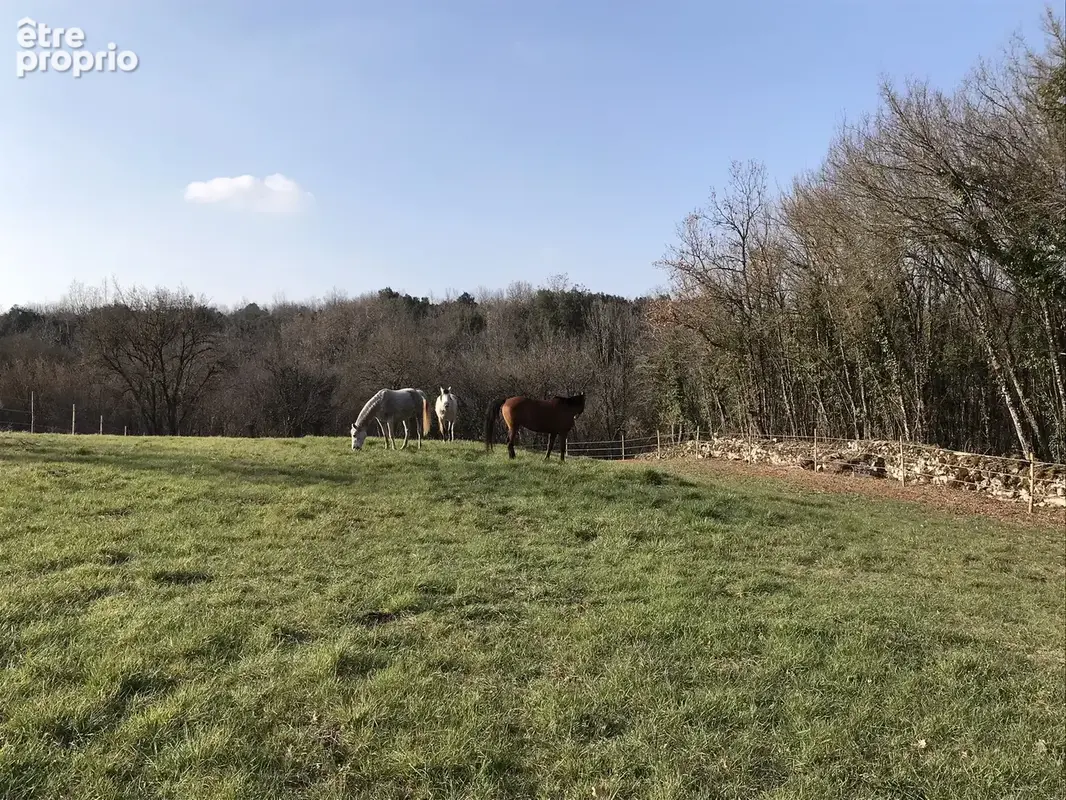 Maison 217 m² à Chateauneuf-Sur-Charente  - photo 36