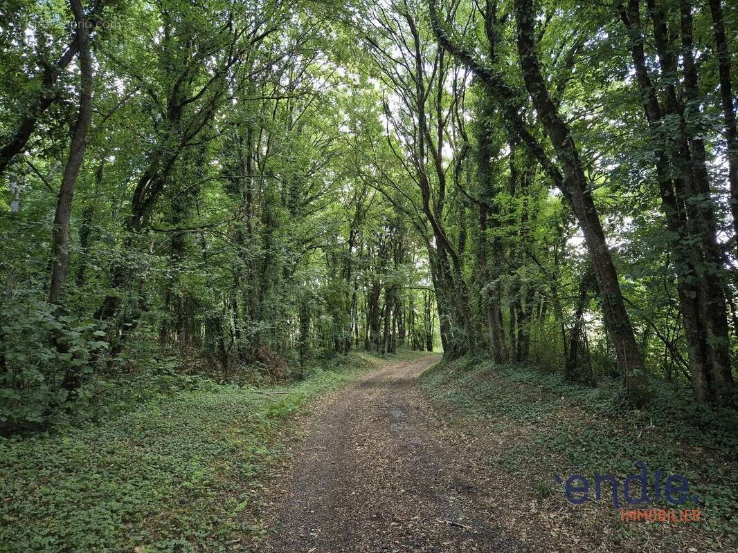 Propriété de charme 320m² habitable,isolée et avec grange sur 2ha!! - photo 2