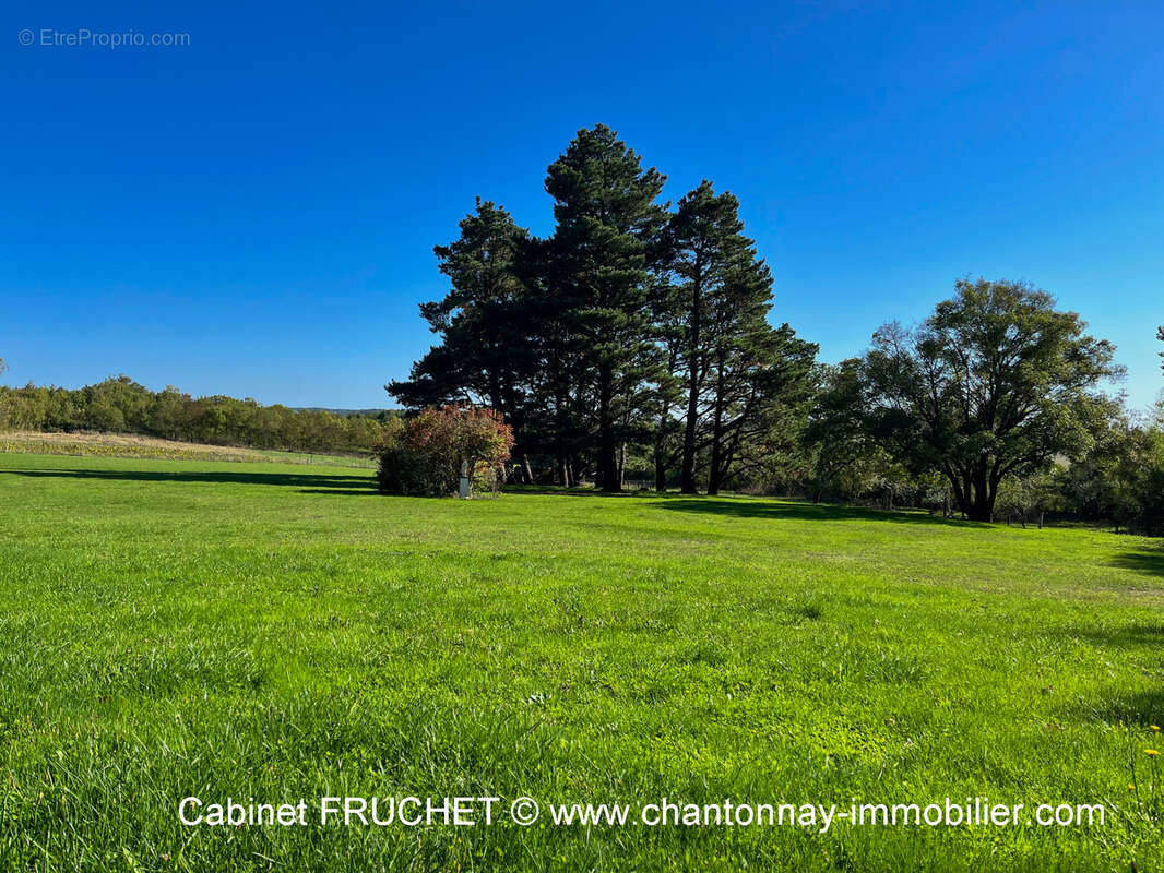 Maison à CHANTONNAY