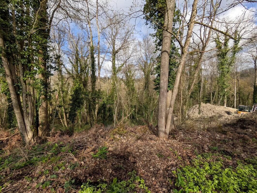 Terrain à FONTAINE-LE-PORT