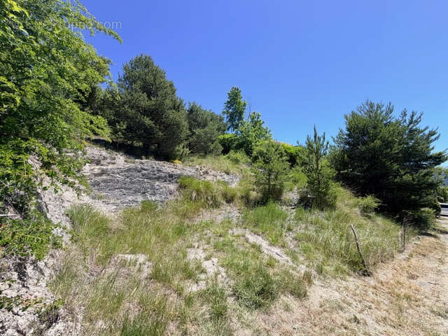 Terrain à vendre - Le Sauze du Lac - photo 4