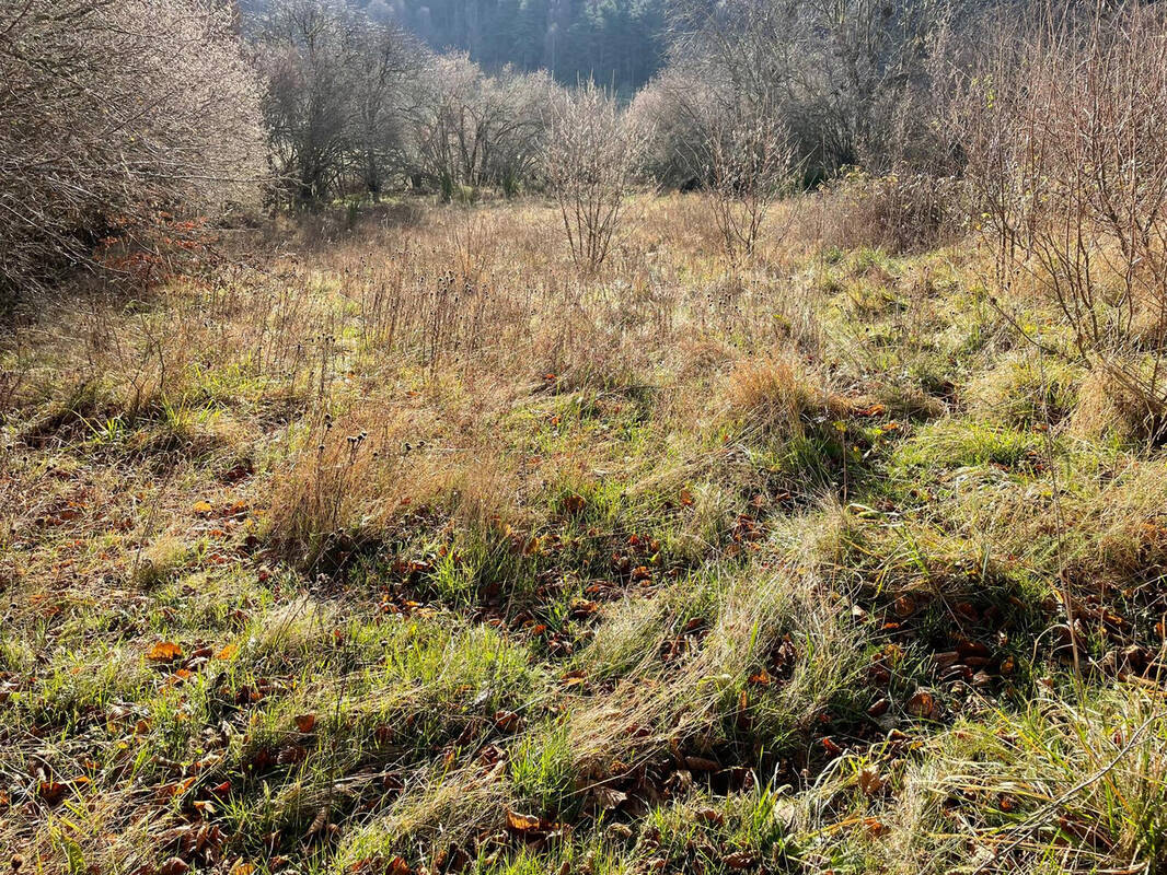 Terrain à GRANDRIEU
