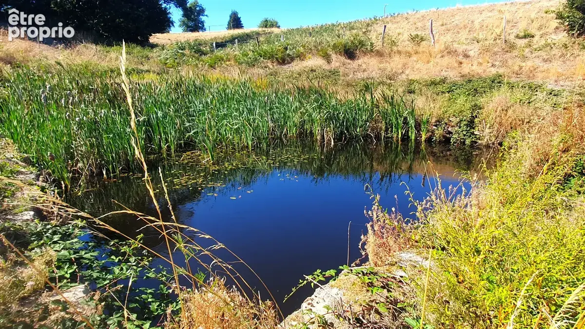 Propriété de caractère rénovée avec nombreuses dépendances, 1,9 ha de terrain. Idéal projet agricole ou touristique. - photo 20