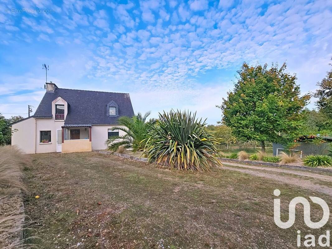 Photo 1 - Maison à SCAER