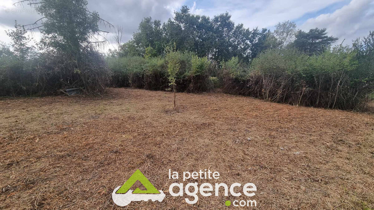 Terrain à MERY-SUR-CHER