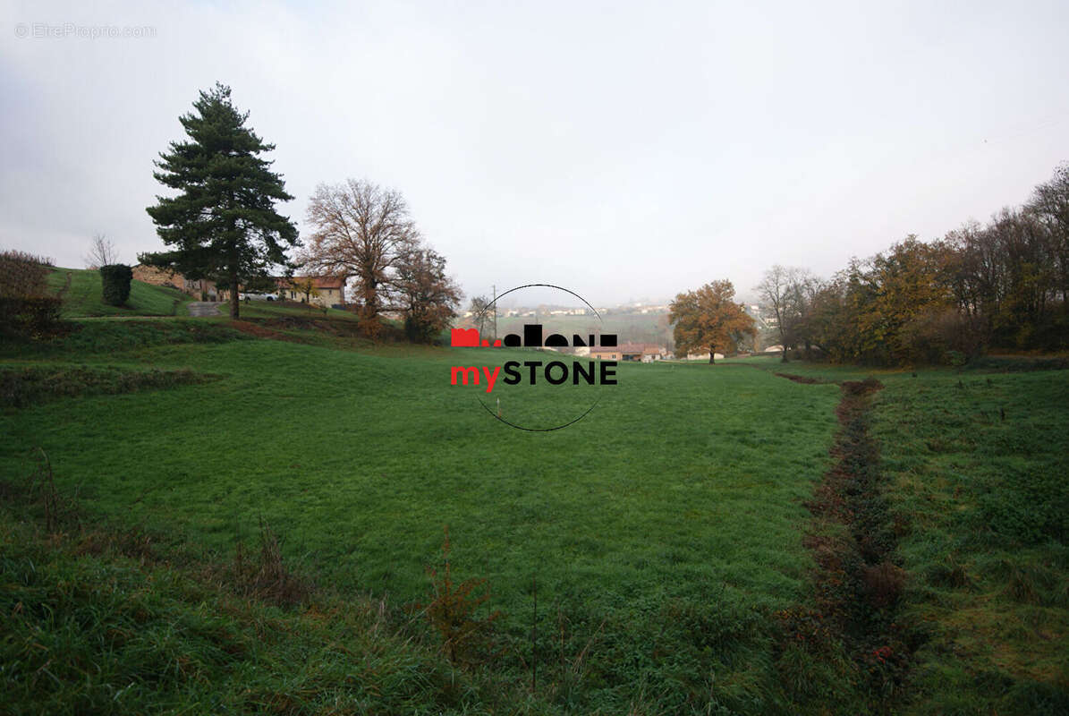 Terrain à SAINT-AMOUR-BELLEVUE