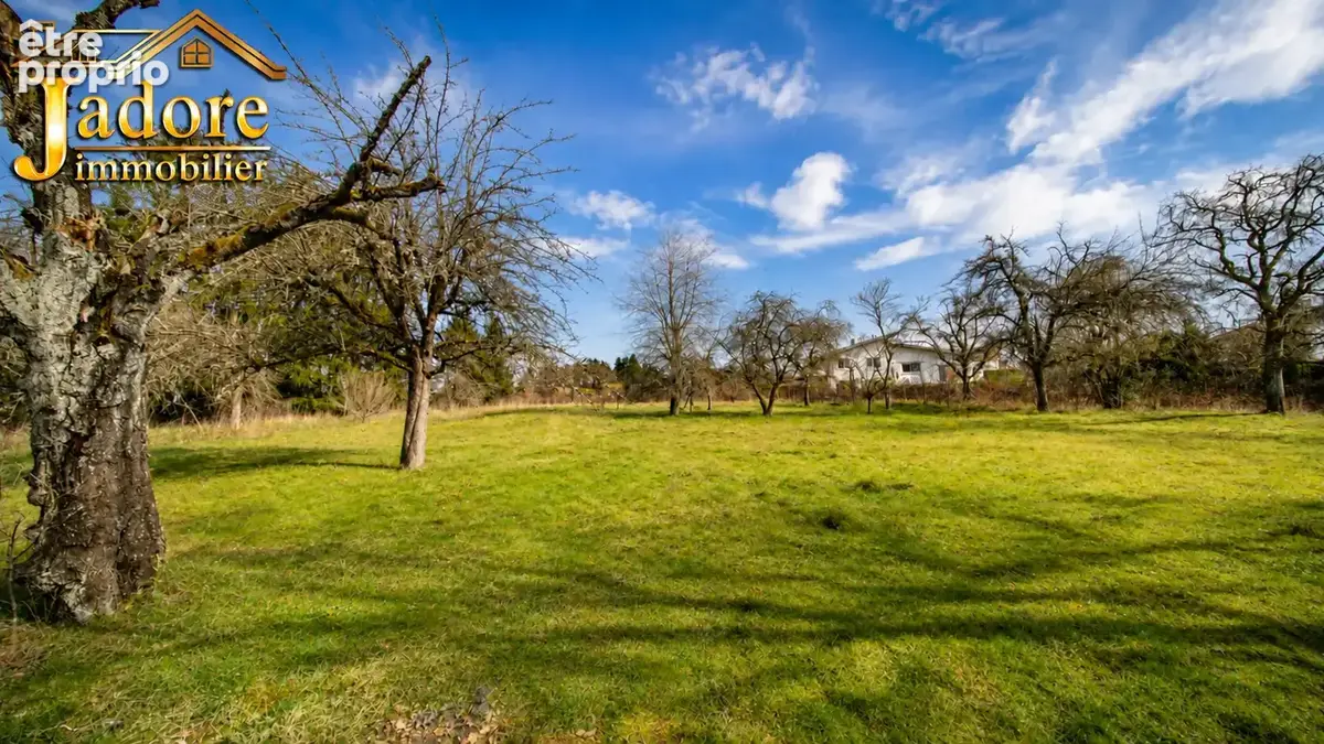 Exclusivite immeuble + grand terrain constructible - photo 3