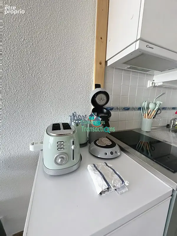Appartement 1 pièce 21 m² à vendre à Le Grau-Du-Roi (30240) - photo 8