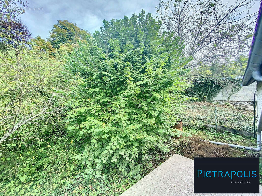 Maison à AUBEPIERRE-SUR-AUBE