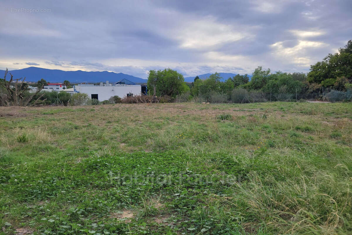 Terrain à PERPIGNAN