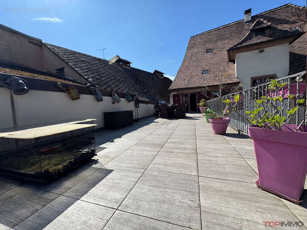 Maison à RIBEAUVILLE