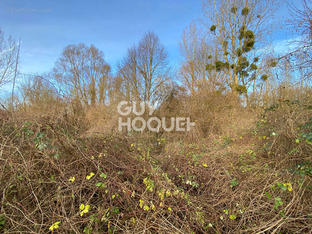 Terrain à NANTEAU-SUR-ESSONNE