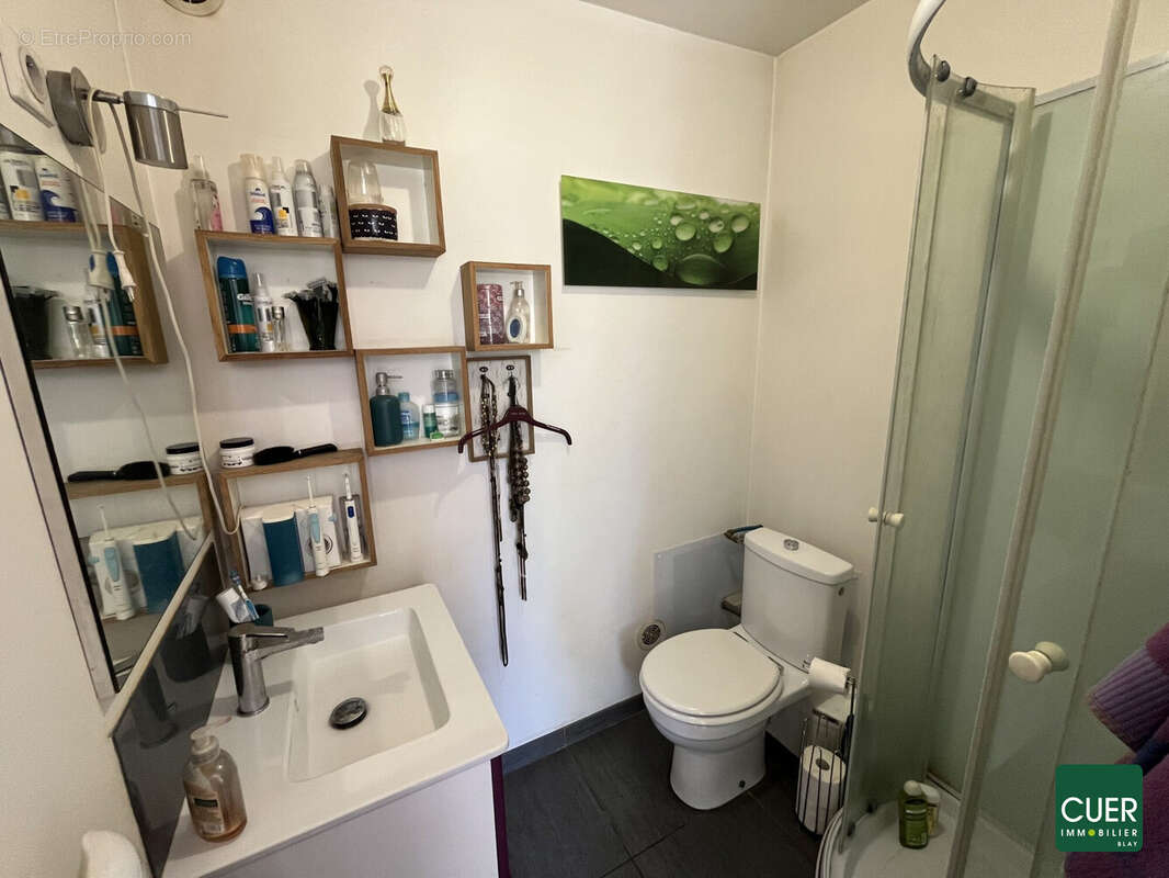 Maison à LA ROCHE-DE-GLUN