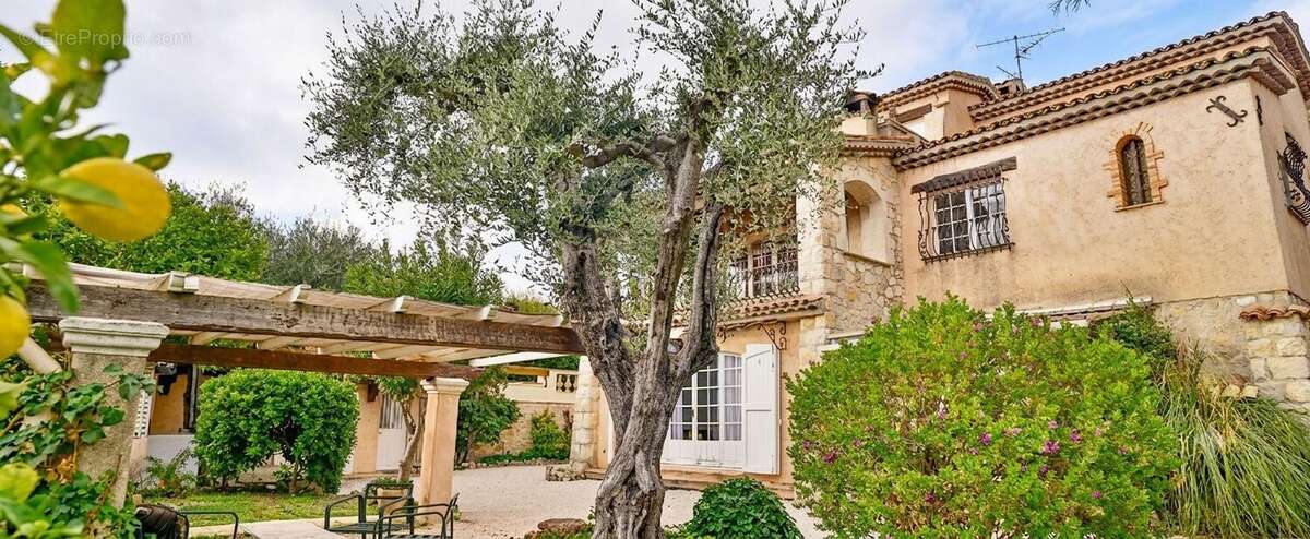Ensemble immobilier 3 lots + piscine – mougins - photo 2