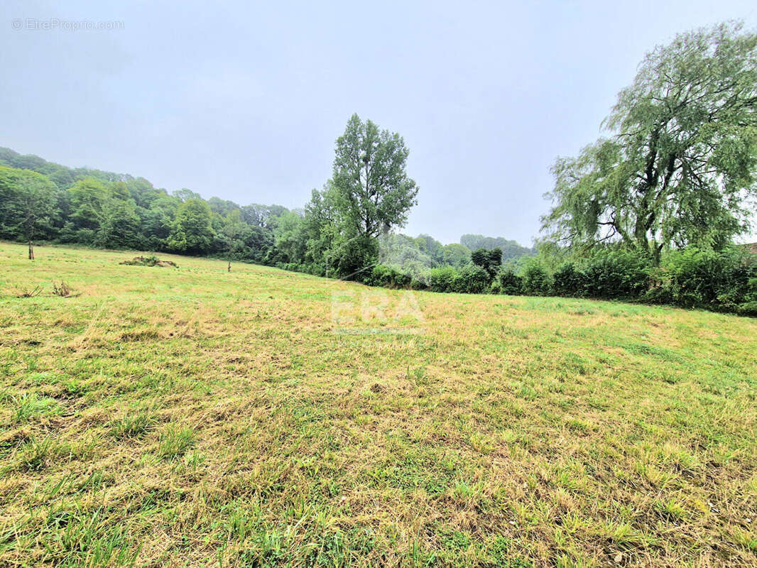 Terrain à CLENLEU