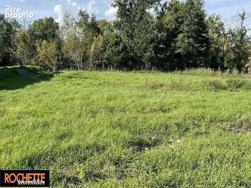 Terrain à NERVIEUX