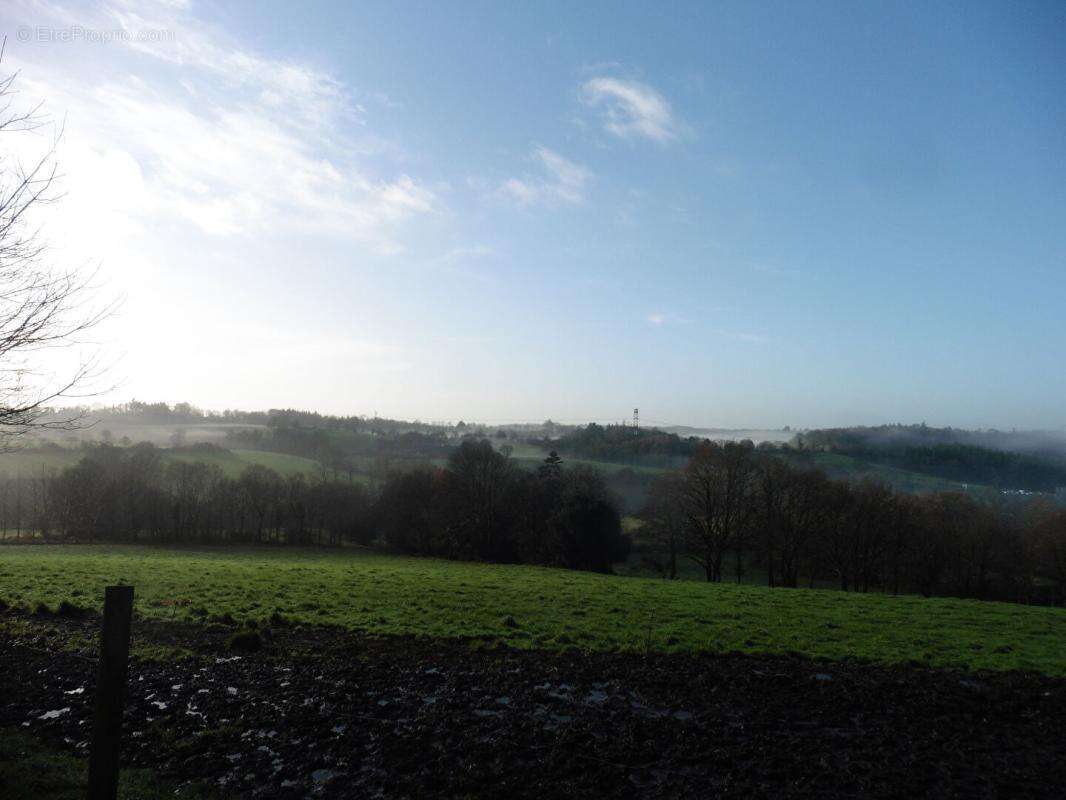Maison à SAINT-THURIEN