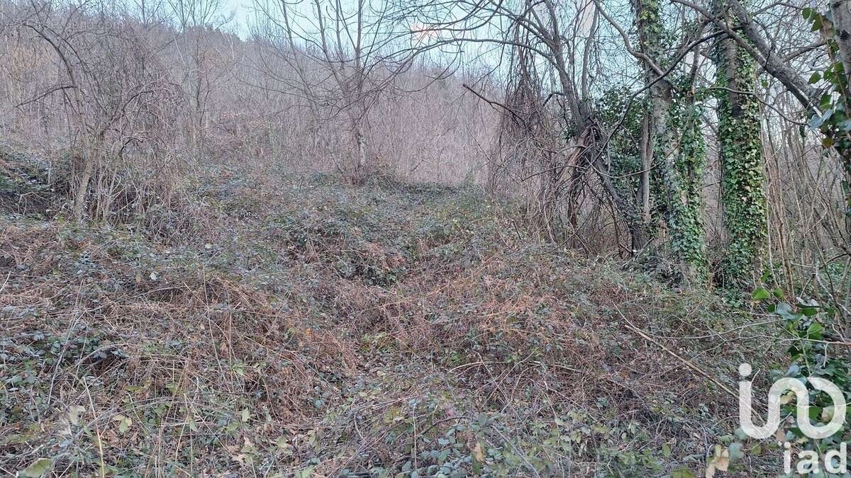 Photo 5 - Terrain à PRATS-DE-MOLLO-LA-PRESTE