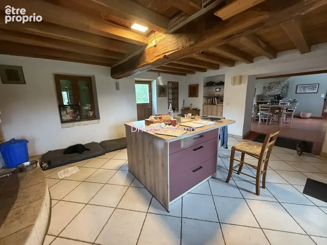 Maison 8 pièces 220 m² à vendre à Arthon (36330) - photo 4